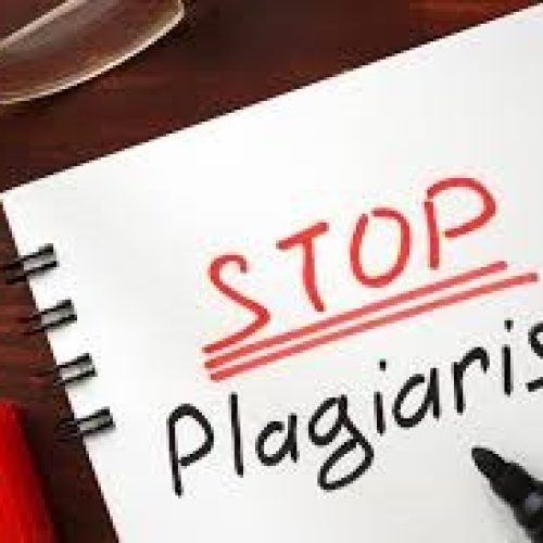 WhatsApp Image 2025-05-30 at 13.16.37